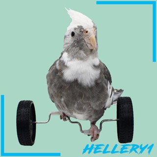 [Hellery1] ของเล่นโรลเลอร์สเก็ต ขนาดเล็ก เพื่อการเรียนรู้ สําหรับนกแก้ว