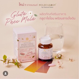 พร้อมส่ง🔥Gluta Pheo Mela✨ Moleculogy by Diamond Grains กลูต้า