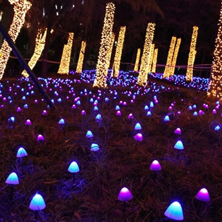 6.5M / 30led  ไฟ LED พลังงานแสงอาทิตย์สตริง 8Modes สวนตกแต่งลาน IP65 กันน้ำ Garland Patio ไฟ Fairy กลางแจ้ง