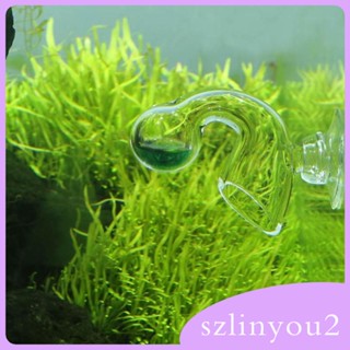 [szlinyou2] เครื่องทดสอบ CO2 แบบแก้ว ทดสอบระยะยาว สําหรับตู้ปลา