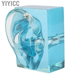 Yiyicc Acrylic Blue Transparent  Fake Ear Model Displays Right Display