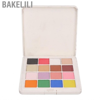 Bakelili Nail  Professional 16 Colors Metallic Mirror Effect Pigment ZOK