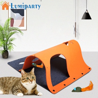 Lumiparty อุโมงค์ของเล่น อเนกประสงค์ พร้อมจี้มิ้นท์ สําหรับสัตว์เลี้ยง แมว Diy