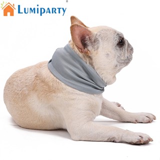 Lumiparty ผ้าพันคอ ระบายอากาศ 3 ขนาด สําหรับสัตว์เลี้ยง สุนัข แมว 2 ชิ้น