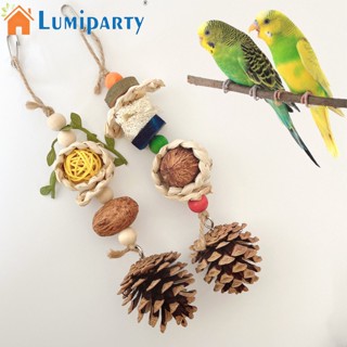 Lumiparty ของเล่นเคี้ยว พร้อมลูกบอลหวาย สําหรับนกแก้ว