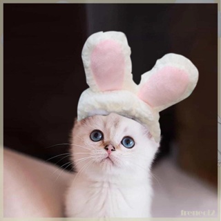 [Freneci2] หมวกคอสเพลย์ฮาโลวีน สําหรับสัตว์เลี้ยง สุนัข แมว กระต่าย ขนาดเล็ก