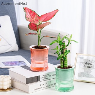 Adornmentno1 กระถางดอกไม้พลาสติกใส แบบสองชั้น พร้อมเชือกบูติก