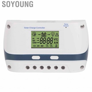 Soyoung MPPT Solar Charge Controller  TVS  Light Protection for Yacht