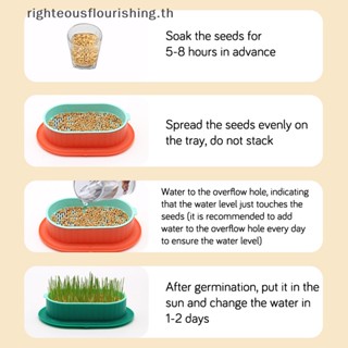 Righteousflourishs.th ถาดปลูกหญ้า สําหรับสัตว์เลี้ยง แมว ขนมขบเคี้ยว