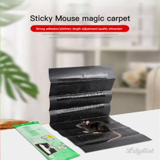 ღ Rat Sticky Rodent แผ่นกาวดักหนู พรมวิเศษ พรมดักหนู