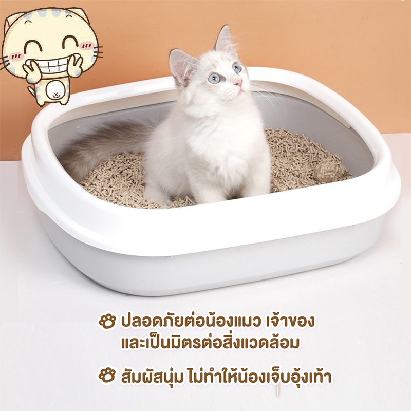 รูปภาพ 4
