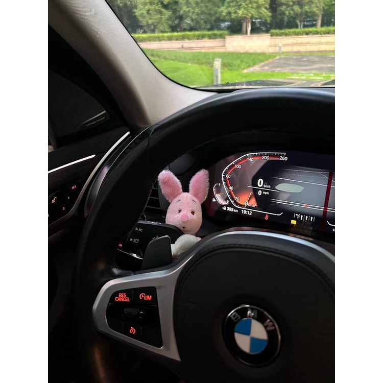 New Style Adorable Cartoon Little Pig Love Huai Gear Controller Decorative Turn Signal Wiper Doll Cute Car Creativity Car Ornament Car interior decoration - รูปที่ 7