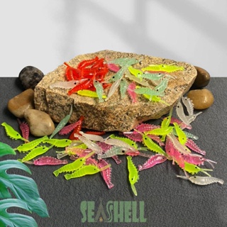 [Seashell02.th] เหยื่อตกปลาน้ําเค็ม PVC แบบนิ่ม เรืองแสง 3.5 ซม. ทนการกัด สําหรับผู้ชาย 50 ชิ้น