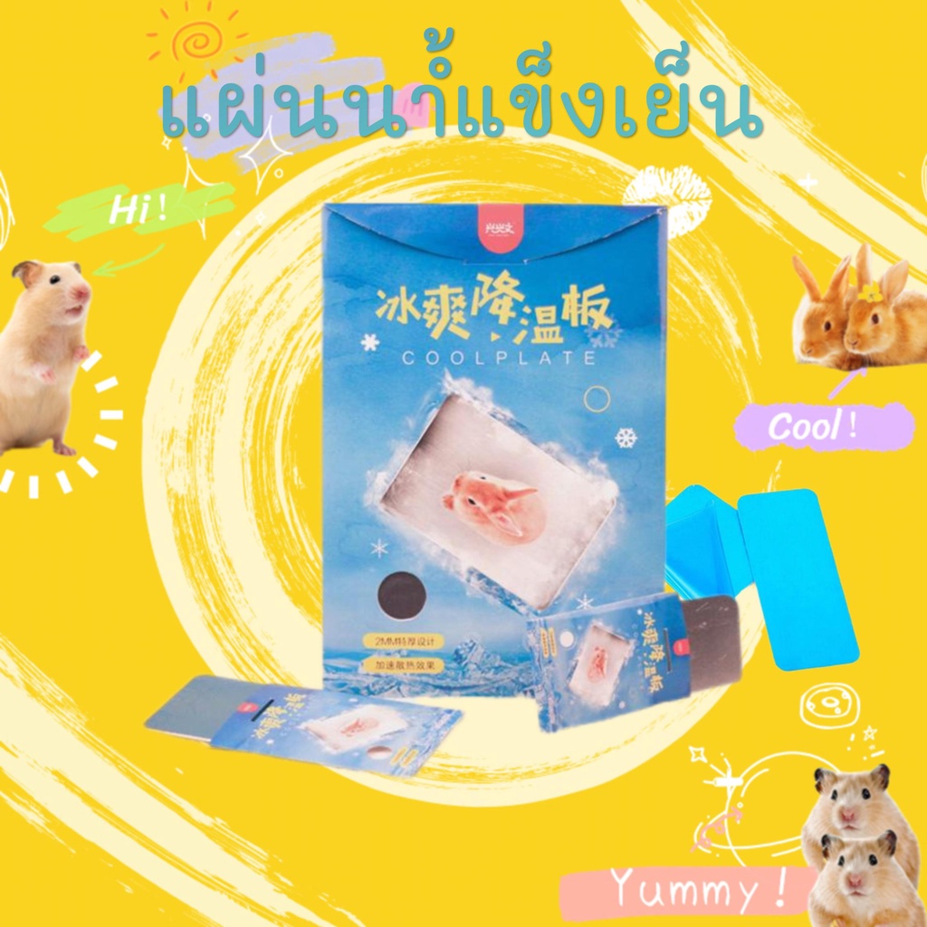 S/M หนูแฮมสเตอร์เย็นลงฤดูร้อนสัตว์เลี้ยงลดอุณหภูมิแผ่นสัตว์เลี้ยงระบายความร้อนกระต่ายเย็นอลูมิเนียมแผ่น /cooling