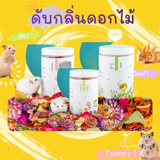 【hammyscience】1200ml สัตว์เลี้ยงพืชเสื่อวัสดุดับกลิ่นแฮมสเตอร์แผ่นทองหมีรังวัสดุฉากกินขี้เลื่อยดอกไม้แห้งในฤดูร้อน