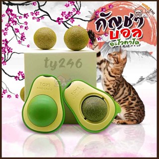 Hiroshi  แคทนิปบอล กัญชาแมว แคทนิปแมวเลีย แคทนิปอะโวคาโด TY246 catnip ball ขนมแมวเลีย Ball Herb กัญชาแมวเลีย สมุนไพรแมว