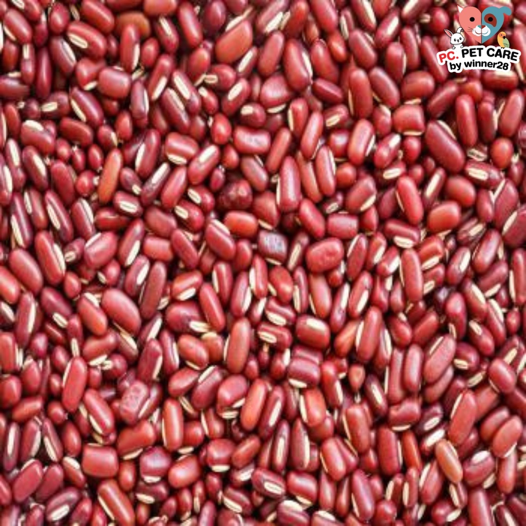 ถั่วนางแดง red bean..ถั่ว อาหารนก กระต่าย หนู  กระรอก ชูก้า และสัตว์ฟันแทะ สินค้าคุณภาพดี (กระสอบ 25KG)