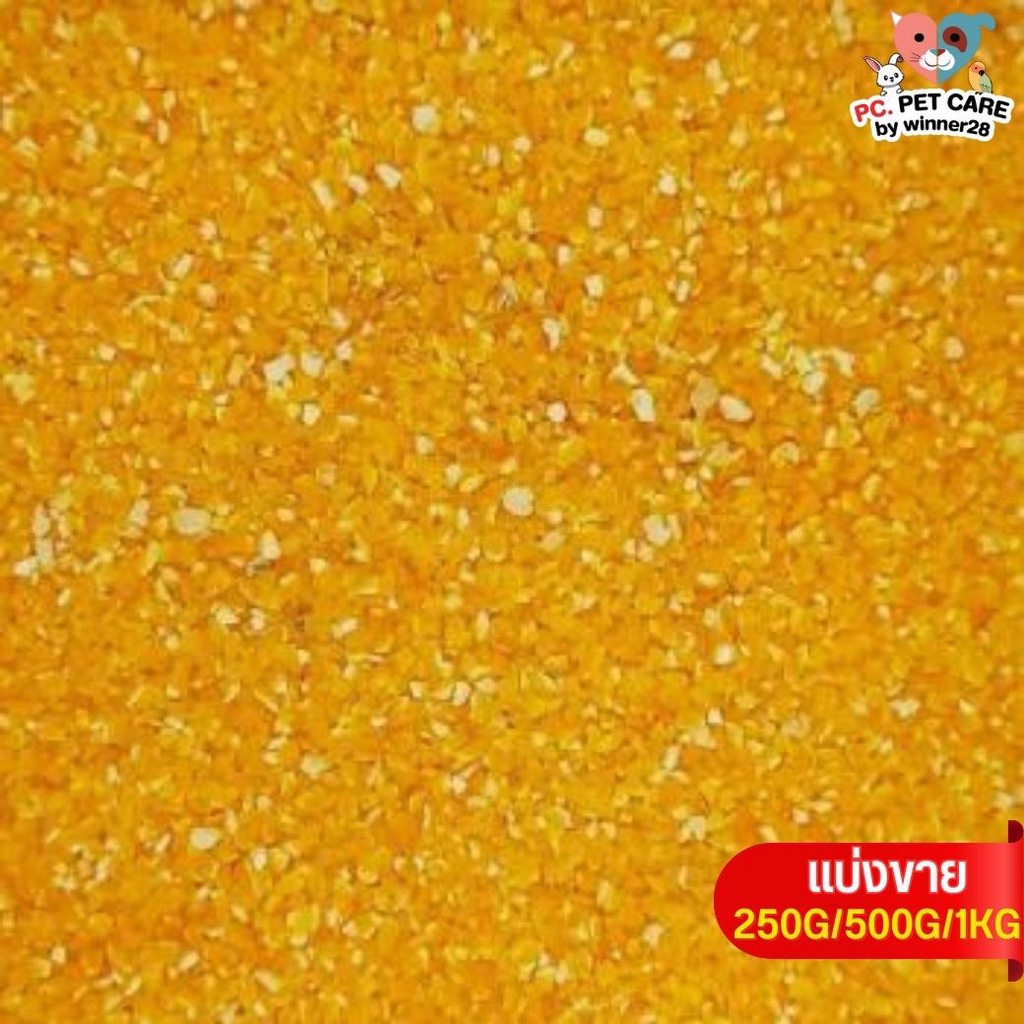 ข้าวโพดละเอียด fine corn อาหารนก กระต่าย หนู กระต่าย กระรอก ชูก้า และสัตว์ฟันแทะ (แบ่งขาย 500G / 1KG)