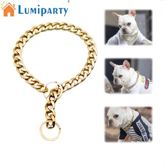 Lumiparty สร้อยคอโซ่โลหะ ขนาดเล็ก กลาง ใหญ่ หลายขนาด อุปกรณ์เสริม สําหรับสัตว์เลี้ยง สุนัข