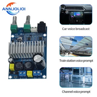 Ann บอร์ดขยายเสียงซับวูฟเฟอร์ดิจิทัล พลังงานสูง 100W TPA3116 12-24V