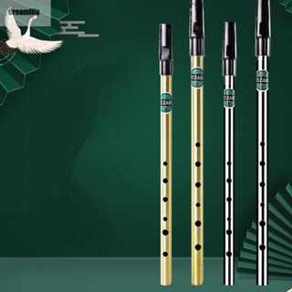 【DREAMLIFE】Irish Whistle Flute C D Key Ireland Flute Tin Penny Whistle Woodwind Instrument