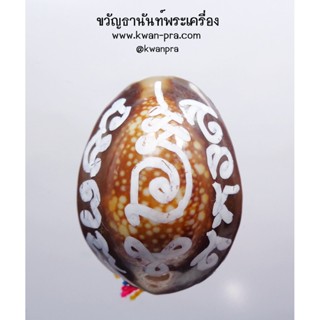 หลวงปู่พล วัดใหม่ชัยมงคล เบี้ยแก้ พลิกชะตา ล้างอาถรรพ์ (KP3416)