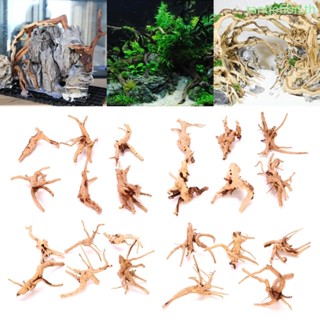 Ran บ้านไม้ธรรมชาติ สําหรับตกแต่งบ้าน พิพิธภัณฑ์สัตว์น้ํา