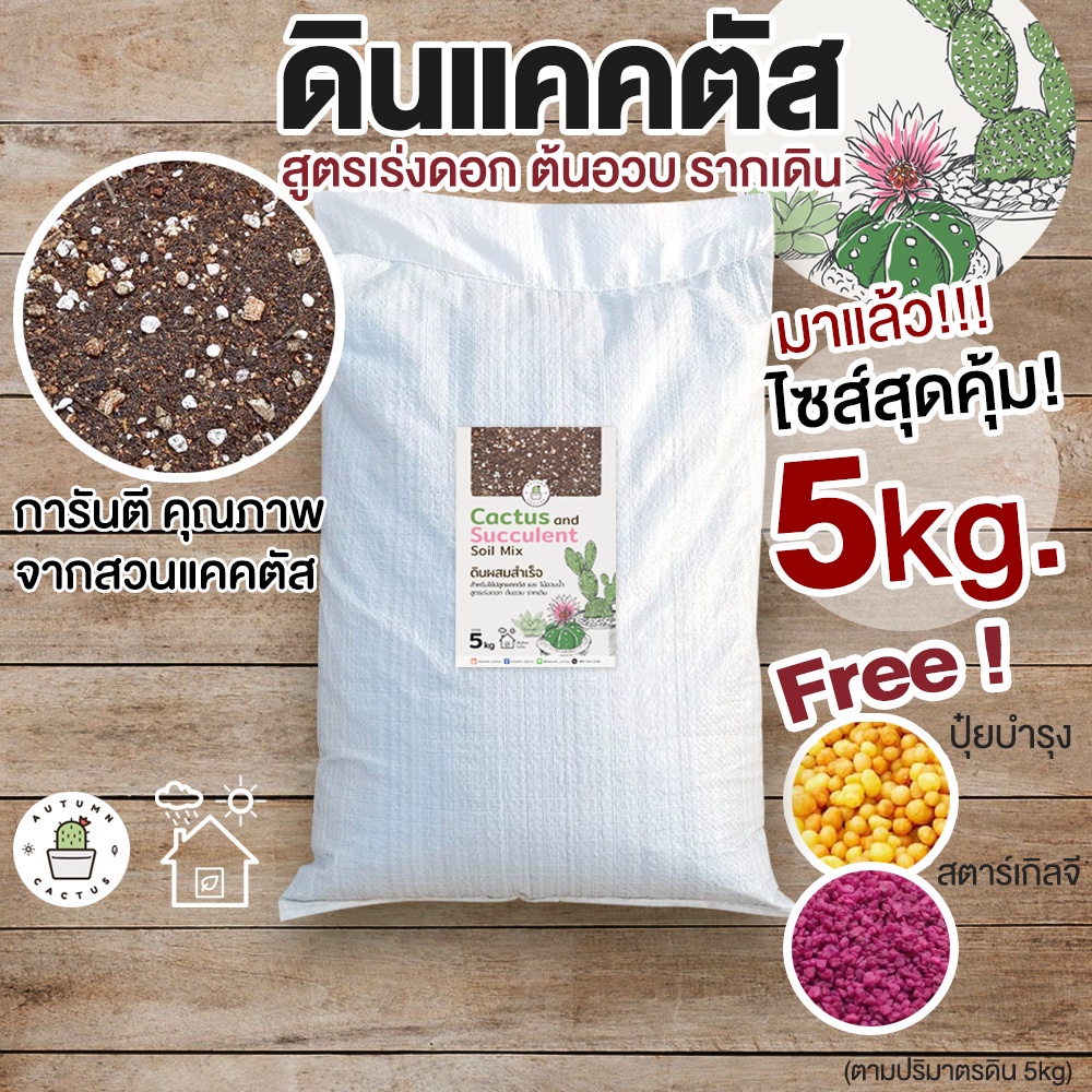 🌵((กระสอบ 5kg )) ดินปลูกแคคตัส ดินกระบองเพชร ไม้อวบน้ำ ผสมสำเร็จพร้อมปลูก กระสอบ 5 กิโลกรัม 5kg 🌵🌵