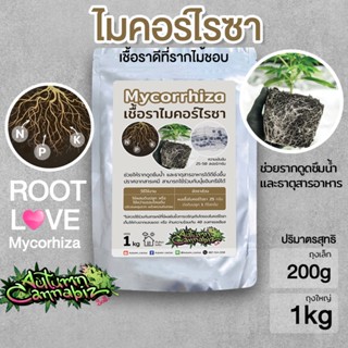 🌿เชื้อรา ไมคอร์ไรซา Mycorrhiza ช่วยให้รากดูดซึมน้ำ และสารอาหารได้ดียิ่งขึ้น เร่งการเจริญเติบโต ไมคอไรซ่า Organic100%🌿