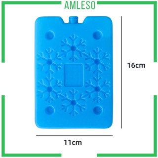 [Amleso] บล็อกแช่แข็ง บล็อกแช่แข็ง สําหรับแช่แข็ง กระเป๋าน้ําแข็ง แบบพกพา สําหรับกลางแจ้ง