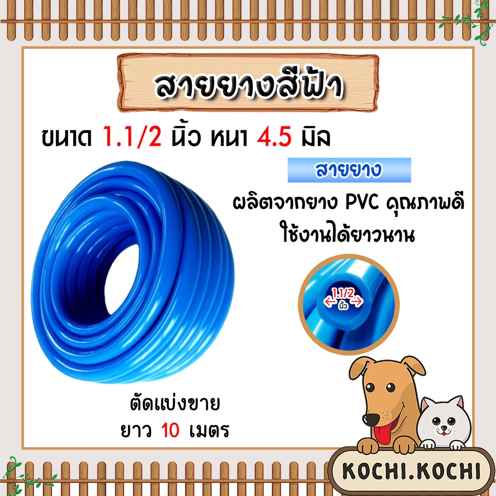 สายยางสีฟ้า ขนาด 1.1/2นิ้ว(1.5) สายยางล้างรถเกรด A สายยางฟ้าเด้ง ยางอ่อนยืดหยุ่นพิเศษ ยาว 10 เมตร ทนทาน