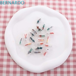 Bernardo แคปซูล เปลือกหอย ฟิกเกอร์ ของเล่น DIY อุปกรณ์เสริม ของเล่น มินิ แคปซูล ของเล่น ขวด แยก พลาสติกใส ตลับยา