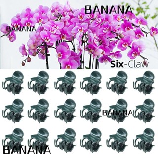 Banana1 คลิปพลาสติก รูปผีเสื้อ 6 เถาวัลย์ สําหรับปลูกกล้วยไม้ ดอกไม้ 100 ชิ้น