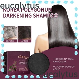 Eucalytus1 สบู่แชมพู บํารุงรากผม ผมคล้ํา แชมพูบาร์ โพลีโกนัม มัลติฟลอรัม สบู่ธรรมชาติ สีดํา ผู้หญิง