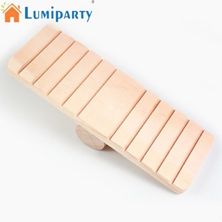 Lumiparty เลื่อยไม้ กันลื่น หลายร่อง ของเล่นสําหรับสัตว์เลี้ยง หนูแฮมสเตอร์ หมีสีทอง