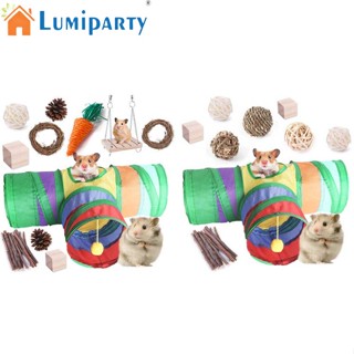 Lumiparty ชุดของเล่นเคี้ยว สําหรับหนูแฮมสเตอร์ หนูตะเภา ชินชิล่า กระต่าย นก 9 11 ชิ้น