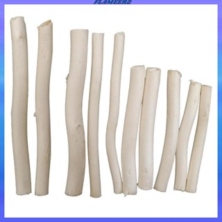 [Flameer2] กิ่งไม้ธรรมชาติ DIY สําหรับตกแต่งต้นไม้ 20 ชิ้น