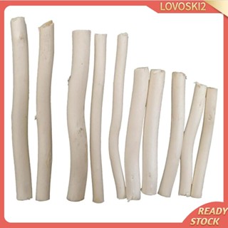 [Lovoski2] กิ่งไม้ธรรมชาติ DIY สําหรับตกแต่งต้นไม้ 20 ชิ้น