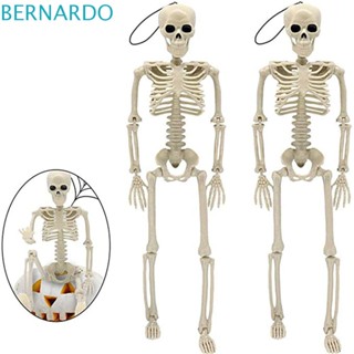 Bernardo โมเดลโครงกระดูกมนุษย์ 40 ซม. สําหรับตกแต่งรถยนต์ ฮาโลวีน