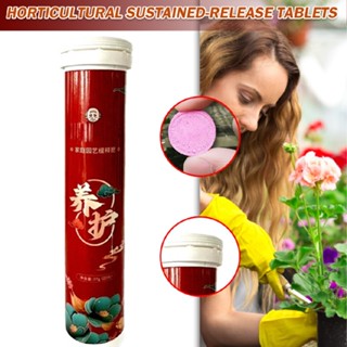 Universal Slow-release Tablet Organic Fertilizer All-purpose for Home Gardening