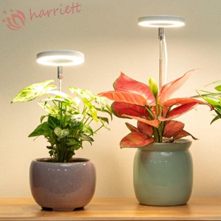 Harriett โคมไฟสเปกตรัม LED ปรับความสูงได้ พร้อมตัวจับเวลา สําหรับปลูกพืชในร่ม สมุนไพร