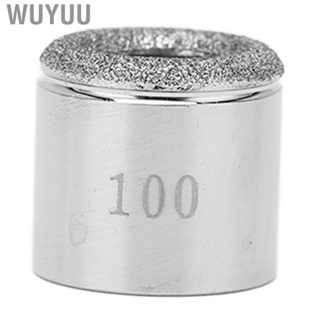 Wuyuu 100 Tips High Dermabrasion Tool Replacement For Facial Peel Machine