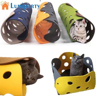 Lumiparty อุโมงค์ของเล่น แบบโต้ตอบ สําหรับสัตว์เลี้ยง แมวในร่ม Diy