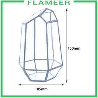 [Flameer] กระถางต้นไม้อวบน้ํา สําหรับบ้าน หน้าต่าง ในร่ม