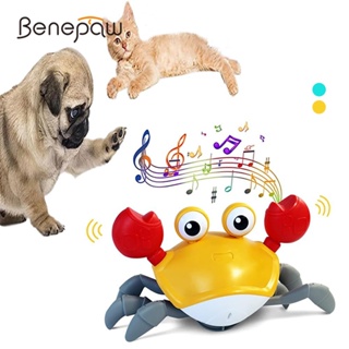 Benepaw ของเล่นเซนเซอร์เสียงไฟฟ้า แบบโต้ตอบ ชาร์จไฟได้ สําหรับสัตว์เลี้ยง สุนัข แมว