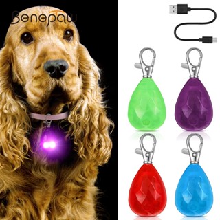 Benepaw ปลอกคอสุนัข ไฟ LED ชาร์จ USB กันน้ํา สําหรับสัตว์เลี้ยง แมว ขนาดเล็ก กลาง ใหญ่ ปลอดภัย เดินกลางคืน วิ่ง