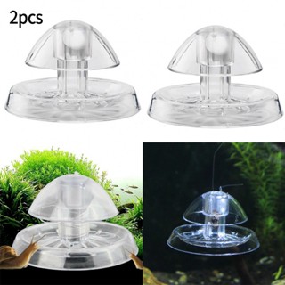 Effective Snail Catcher Box for Fish Tanks Protect Your Plants Naturally