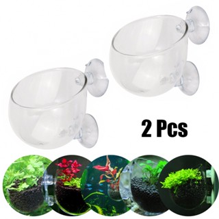 Aquarium Plant Holder Crystal Acrylic Decoration Feeding Accessories Fish