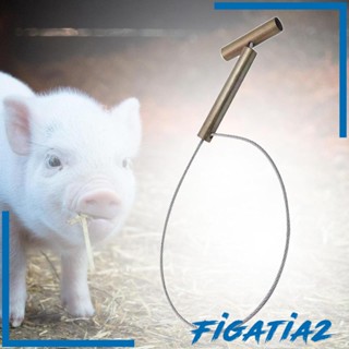 [Figatia2] ที่จับหมูสแนร์ ทนทาน สําหรับสัตว์เลี้ยง สุนัข หมู