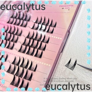 Eucalytus1 ขนตาปลอม มังงะ แต่งตาแมว ดูเป็นธรรมชาติ สําหรับผู้หญิง